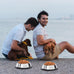 stainless steel dog bowl set with rubber base non-slip pet dishes for small medium animals 7 oz capacity