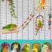 dbness 5in1 wooden bird perch toys for parakeet parrot cage accessories with climbing ladder swing and perches