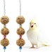 Bird toys, 2 pack, 3 natural cereal foraging balls, cage toys for parakeet, budgie, cockatiel, lovebird, green cheek, small to medium birds
