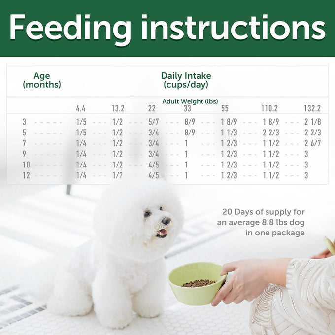 Nature's Protection High Protein Puppy Food Dry - Grain Free Dog Kibble for Small & Large Breed Dogs with Light Fur - Up to 4 Month Puppy or Mother (Superior Care - Salmon, 3.3 lb)