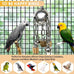 Large 304 Stainless Steel Bird Toy for Parrots, African Greys, Budgies, Lovebirds, Cockatiels, Cockatoo