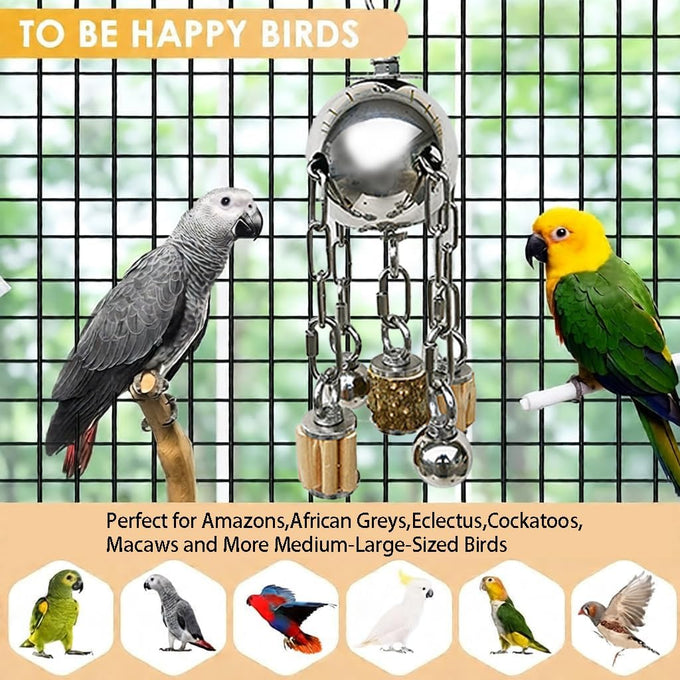 Large 304 Stainless Steel Bird Toy for Parrots, African Greys, Budgies, Lovebirds, Cockatiels, Cockatoo
