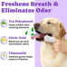 No-Rinse Dog Dental Care Wipes, 50-Count, Safe for Cats & Dogs, Removes Plaque & Tartar, Natural Ingredients, Gentle Finger Wipes