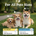 Jasper 360 Dog Tooth Brushing Kit, Finger Toothbrush, 2-Pack Blue for Small & Large Pets