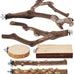 limio natural wood bird perch set for parakeets cockatiels conure budgies 6-piece