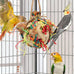 Wontee colorful crinkly shredding toys for medium-sized birds like cockatiels, conures, and parakeets, 1 pack, natural dried fruits chew