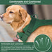 Wisedog No Pull Lightweight Adjustable Pet Vest Harness for Small Medium Large Dogs, Soft Cushion, Pine Green, Size S