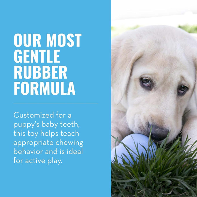 Kong puppy natural rubber soft chew toy for small puppies blue color gentle on teeth