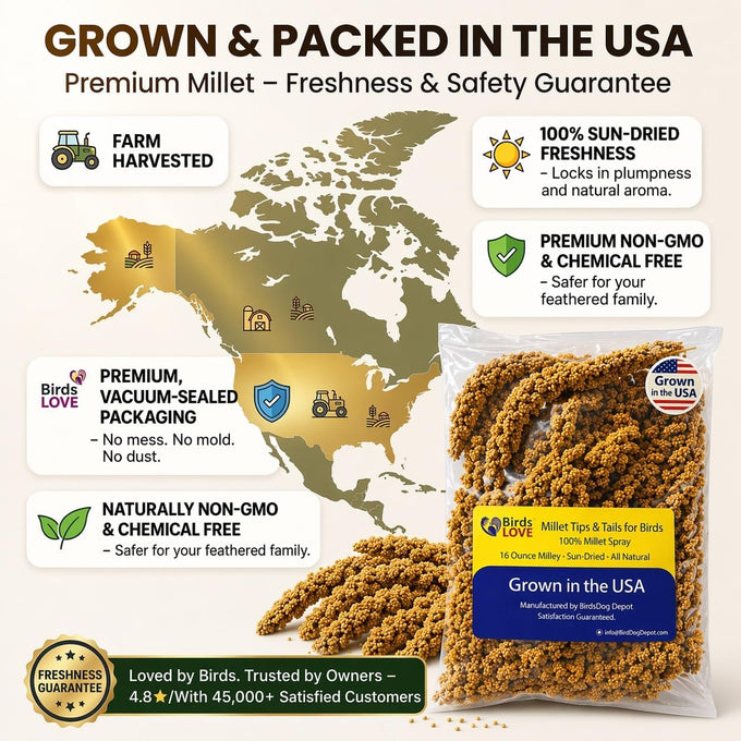 millet-tips-tails-for-parakeets-cockatiels-lovebirds-1lb-usa-grown