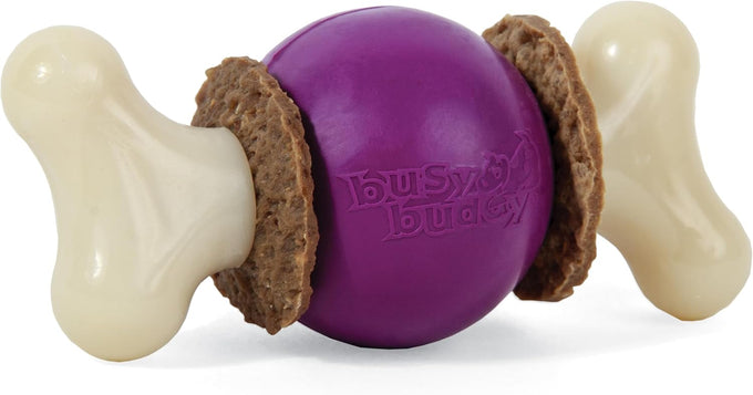 PetSafe Busy Buddy Bristle Bone Dog Chew Toy, Purple, Medium for Hard Chewers, Durable, Interactive, Teeth Cleaning