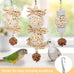 Wontee natural sola ball parrot foraging hanging toys, safe for cockatiels, conures, parakeets, budgies, senegal, 3 pack