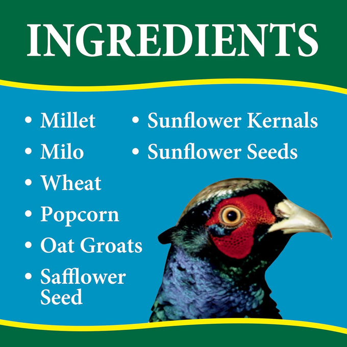 Wild Delight Dove & Quail Food, 10 lb, High-Quality Seed Blend for Doves and Quails