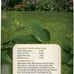 Kaytee 5.5 pound wild bird no mess nut & fruit food seed blend for blue jays, woodpeckers, and finches
