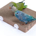 7.3 inch natural corrugated cardboard bird platform toy for parrots and small to medium-sized pet birds