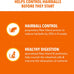 iams proactive health dry cat food, real chicken and salmon, adult cat food, 7 lb. bag, hairball care
