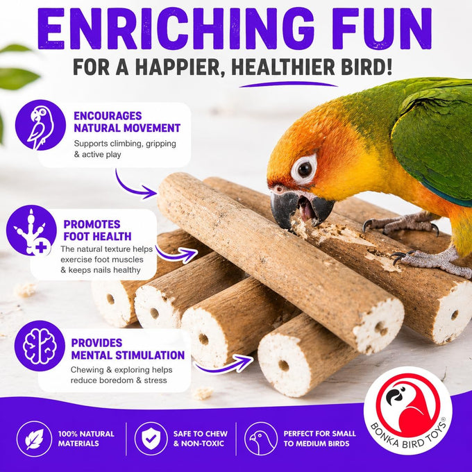 Bonka Bird Toys 1211 Pk6 6-pack natural sola sticks 3 long 1.25 diameter soft chew foraging toy