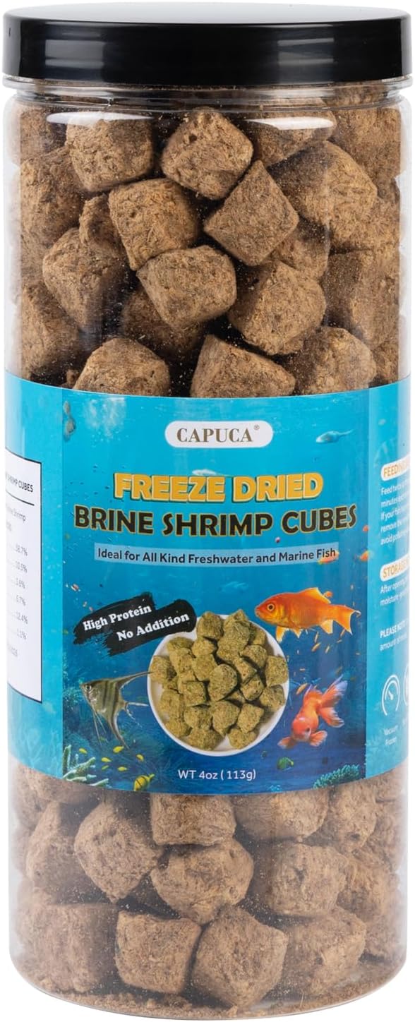 Brine Shrimp Eggs by Sea Monkey, 90% Hatch Rate, Aquatic Food for Freshwater & Saltwater Fish, Shrimp, Fry (0.7oz)