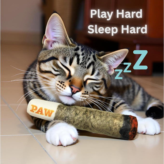 Nestpark crinkle kitten kicker with extra strong catnip for indoor cat gifts and toys