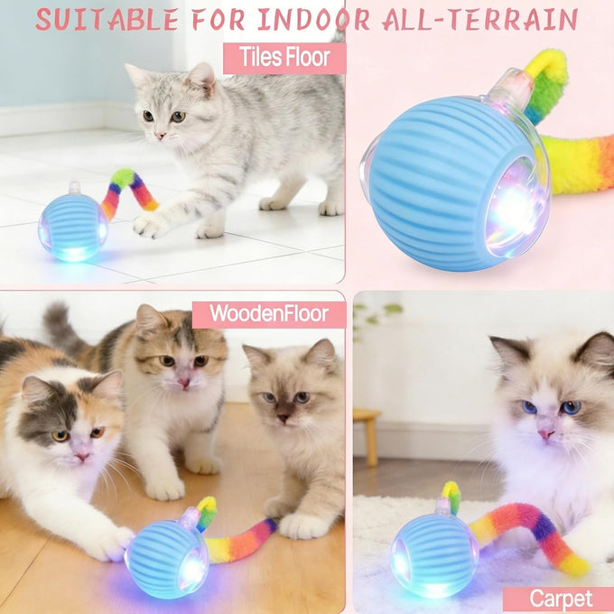 Rechargeable smart rolling cat ball with 3 modes, LED light and 3 replaceable accessories for kittens and adult cats