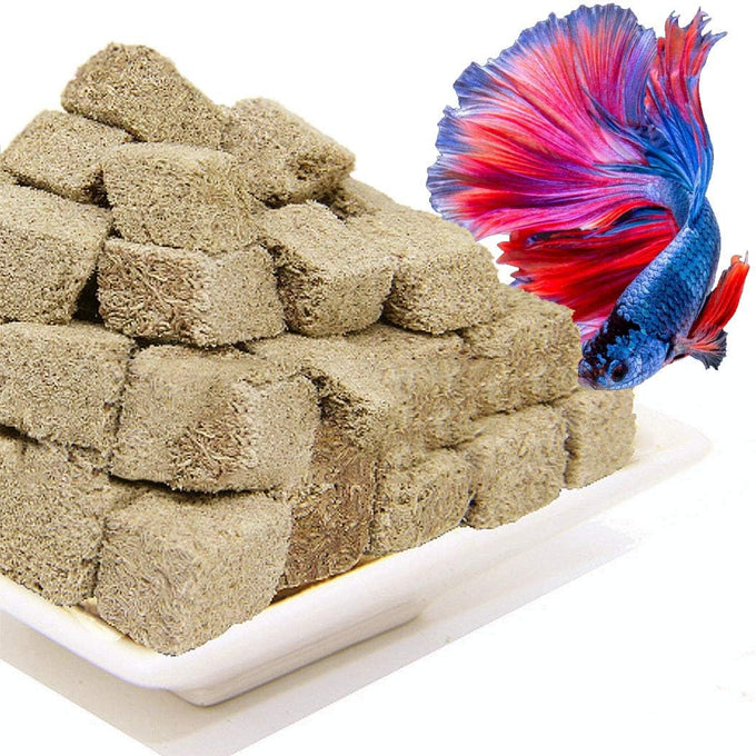 Brine Shrimp Cubes All Natural Freeze Dried Tropical Fish Food for Small to Medium Saltwater & Freshwater Fish