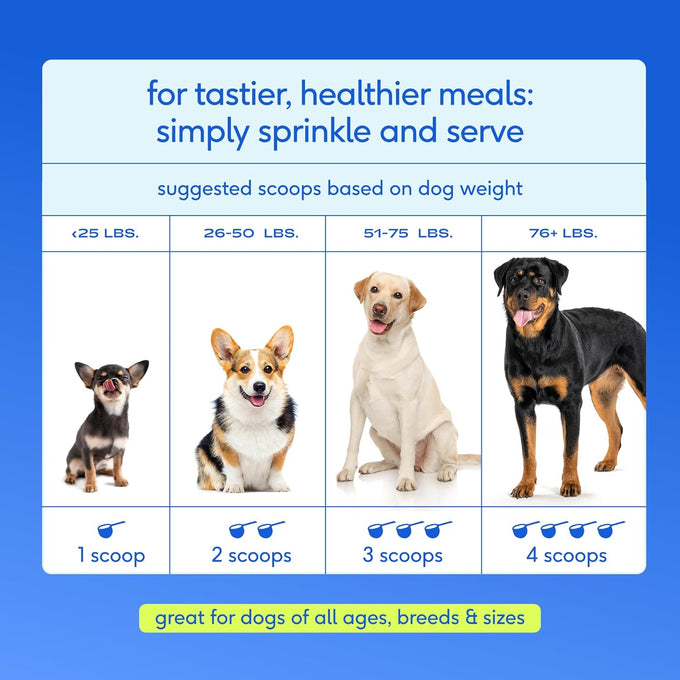 native pet the daily dog vitamins & supplements 11-in-1 multivitamin powder for dogs supports whole body health digestion mobility & immunity