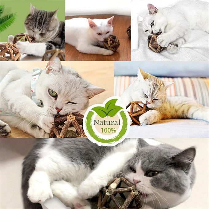 Gochanmon 2-pcs natural Silvervine stick and catnip ball cat toys for indoor cats and kittens