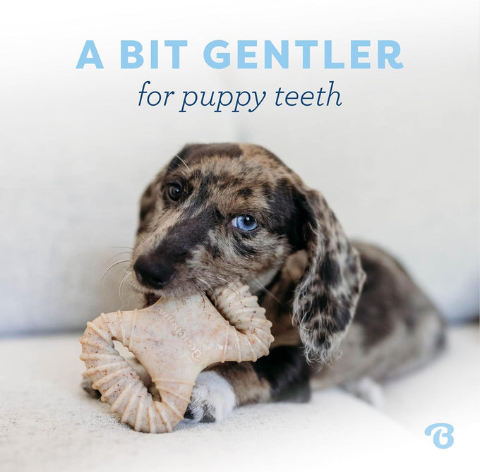 Benebone puppy 2-pack dental chews with real bacon flavor, made in usa, gentle on little teeth