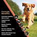 VICTOR Super Premium Dog Food — Sensitive Skin and Stomach — Salmon Meal & Brown Rice Recipe Dry Kibble — Gluten Free, No Chicken, Ideal for Dogs with Allergies — Adult and Puppy Food, 5 lb