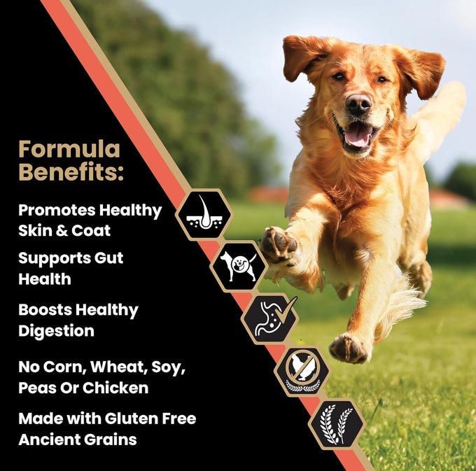VICTOR Super Premium Sensitive Skin & Stomach Dog Food - Salmon Meal & Brown Rice Recipe Dry Kibble, Gluten Free, 5 lb