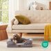 Bedfolks Orthopedic Dog Sofa Bed for Small Dogs, Waterproof Egg Foam Couch with Removable Washable Cover, Light Grey, 24"x18"x6"