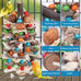 bbjinronjy natural bird chewing toys for african grey, macaws, conure, cockatoos, cockatiel and small birds