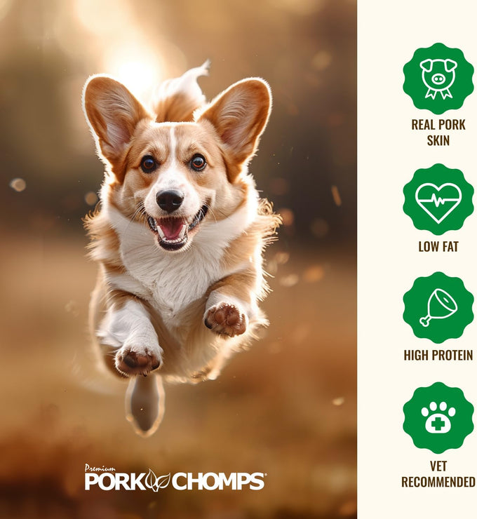 pork chomps roasted pork skin dog chews, 6 inch twists, 15 count - healthy, delicious, low fat, high protein