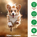 pork chomps roasted pork skin dog chews, 6 inch twists, 15 count - healthy, delicious, low fat, high protein