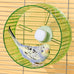 6.8-inch parrot silent exercise wheel, parrot exercise wheel, green