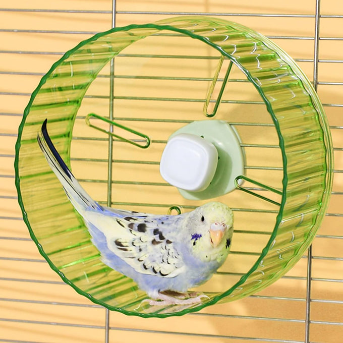 6.8-inch parrot silent exercise wheel, parrot exercise wheel, green