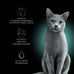 sheba perfect portions wet cat food cuts in gravy gourmet salmon tuna entree 12 count twin-pack trays