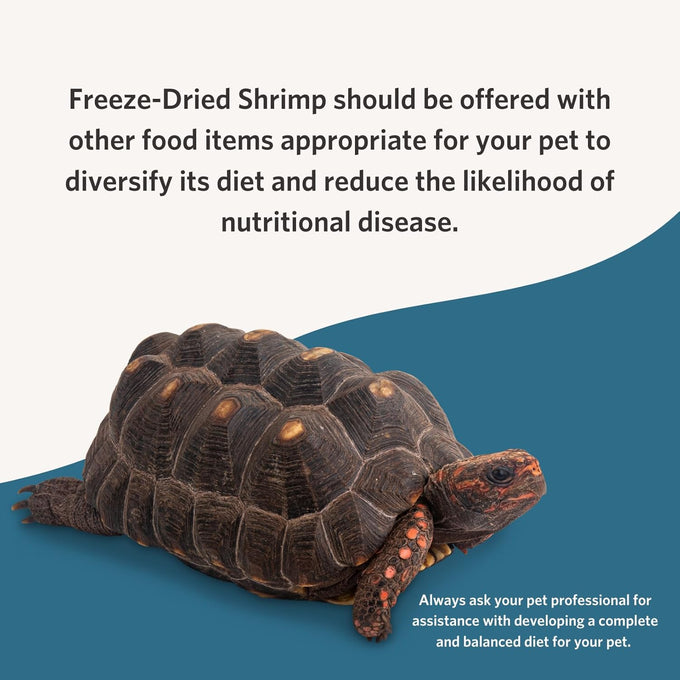 Fluker's 1 oz freeze-dried river shrimp for lizards, reptiles, birds, fish, and hedgehogs, a nutrient-packed treat