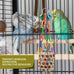 RLRICH 6 pack colorful parrot foraging shredder toys with comfy perch for parakeet and small medium parrots