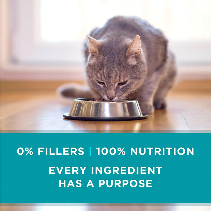 Purina ONE Grain Free, Natural Pate Wet Cat Food Variety Pack, 3 oz. Pull-Top Cans