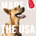 kong natural rubber ring toy for medium large dogs - durable chew toy supports healthy dental habits