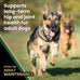 VICTOR Super Premium Dog Food – Purpose Hero Canine Kibble – Premium Gluten Free Dog Food for Active Adult Dogs – High Protein with Glucosamine and Chondroitin for Hip and Joint Health, 30lbs