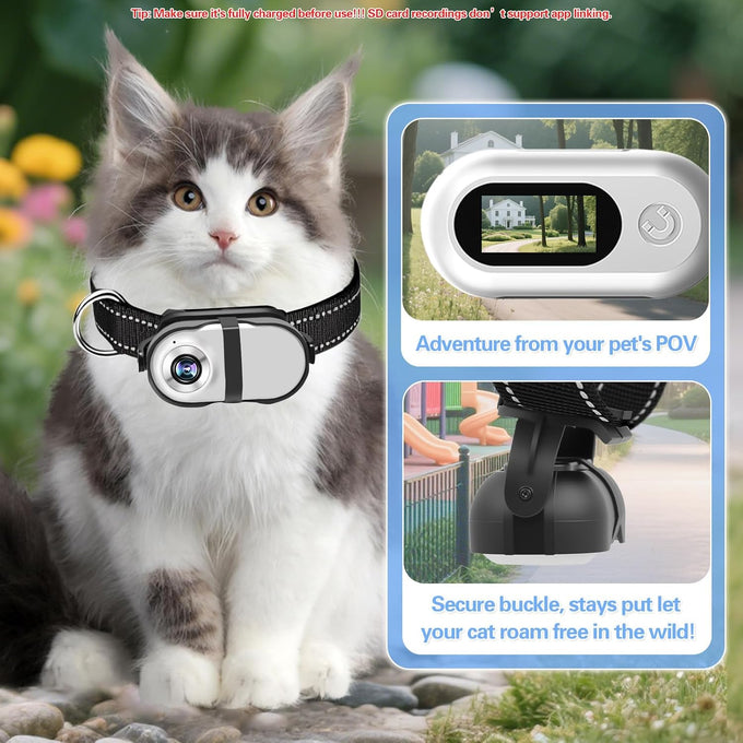 HD 1080P Pet Camera Collar with Video Record Wireless Mini Sport Cam, Small Action Cameras for Pet Supplies