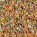 Wild Harvest Universal Blend for medium and large birds 10 pounds fortified nutrition cockatiels parrots hookbills