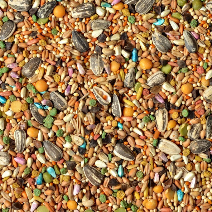 Wild Harvest Universal Blend for medium and large birds 10 pounds fortified nutrition cockatiels parrots hookbills