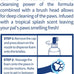 Wet Ones for Pets 5 Ounce Antibacterial Dog Paw Cleaner with built-in Scrubber Brush, Tropical Splash Scent