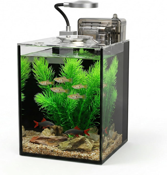 2.2 gallon black glass aquarium set for desktop, small kit for beginners and children with betta fish, goldfish, and aquatic plants