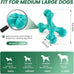 Blue Indestructible Natural Rubber Bone Toy for Large Breed Aggressive Chewers Dogs, Durable and Easy Cleaning