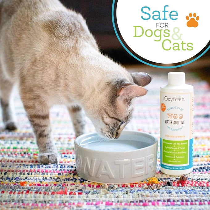 oxyfresh premium pet dental care solution 16 oz water additive for dogs and cats vet recommended