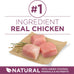 Purina ONE Healthy Puppy Formula Natural Dry Dog Food - 8 lb