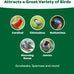 10lb Kaytee Wild Bird Basic Seed, Economical Sunflower and Millet Mix for Backyard Birds, Made in the USA